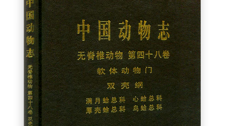 蛏子贝壳类海鲜,贝类海鲜有哪些毛蚶