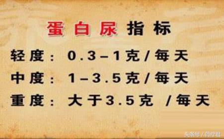 体检蛋白尿2个加号其余没有问题,肾病综合征蛋白尿有几个加号