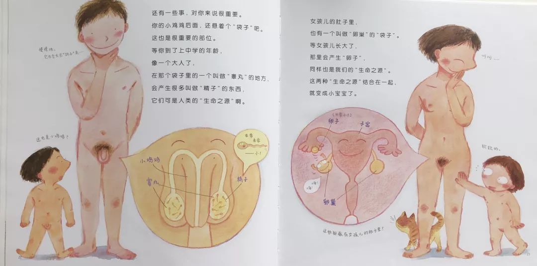 青春期性教育书籍排行榜前十名,适合小学生性教育的书推荐