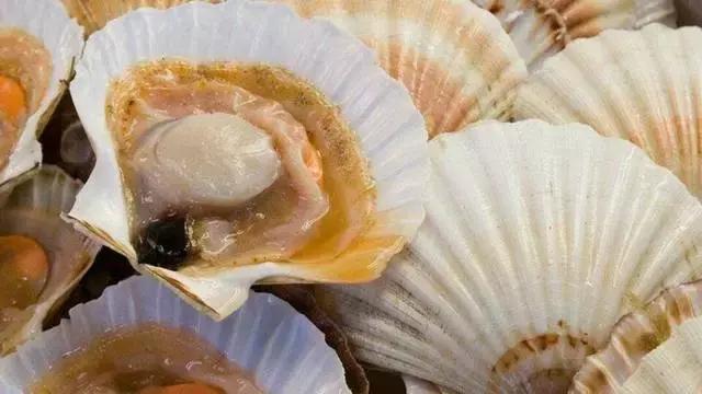 长春吃海鲜的地方排行榜,长春24小时自助吃海鲜的好地方