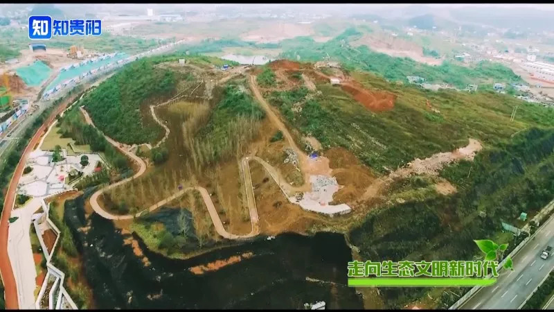 “百山治理”之后，我市这些山体都披上了绿装，有你常见到的吗？