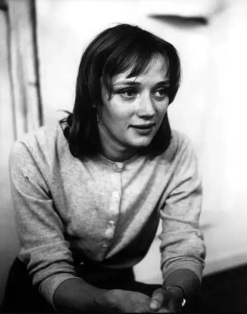 妮基圣法勒作品,妮基圣法勒作品解读