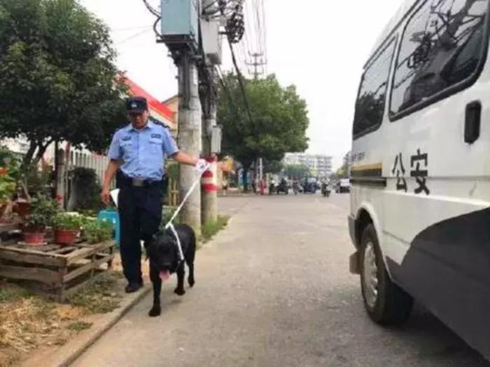 拉布拉多不养了怎么办,拉布拉多不护主人