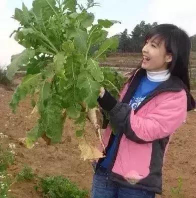 周慧敏20到51岁女神也老了,周慧敏51岁还是很年轻