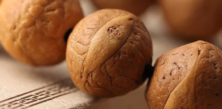 枣核凤眼菩提是菩提吗,麒麟眼菩提和凤眼菩提