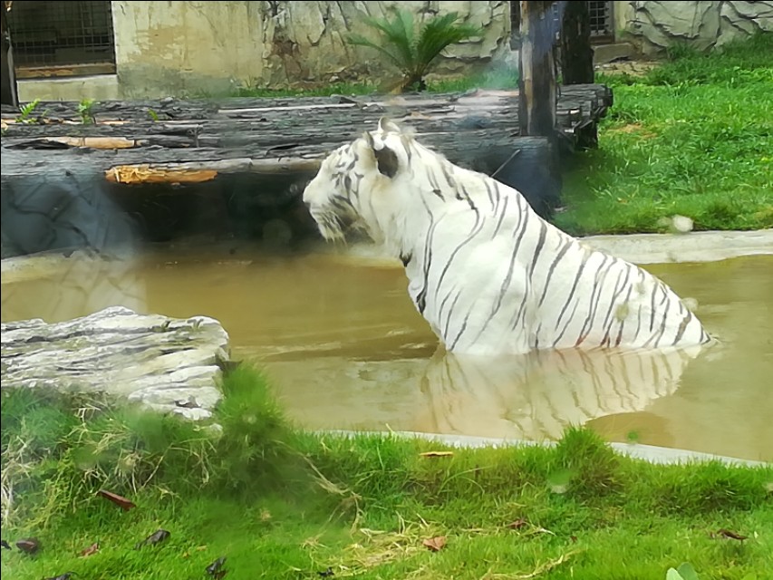 贵州自驾游旅游攻略自由行,贵州环省自驾旅游攻略