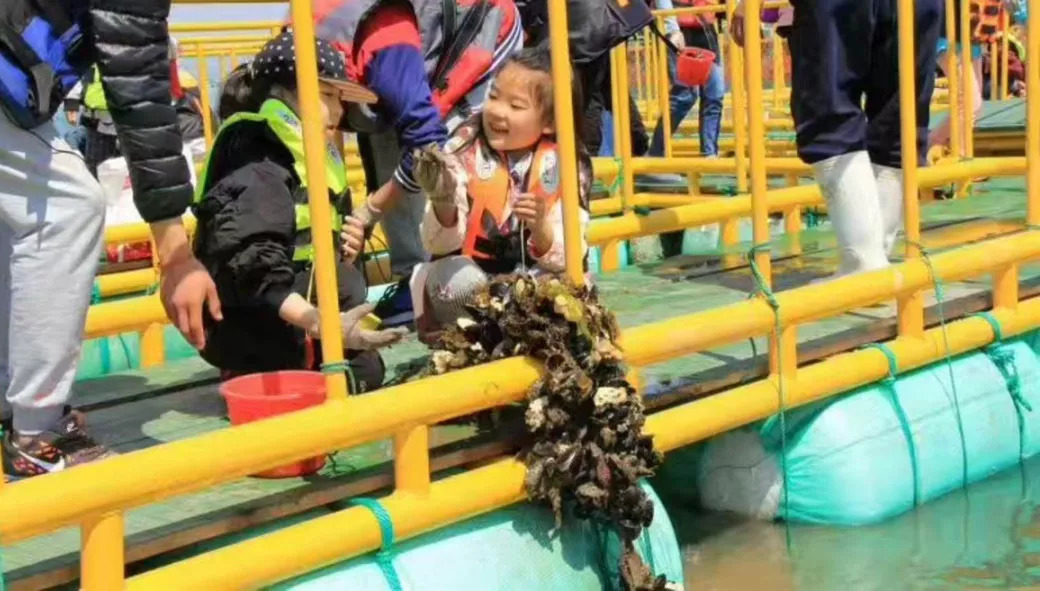 登上这艘神秘大船，体验24小时的时光穿越！