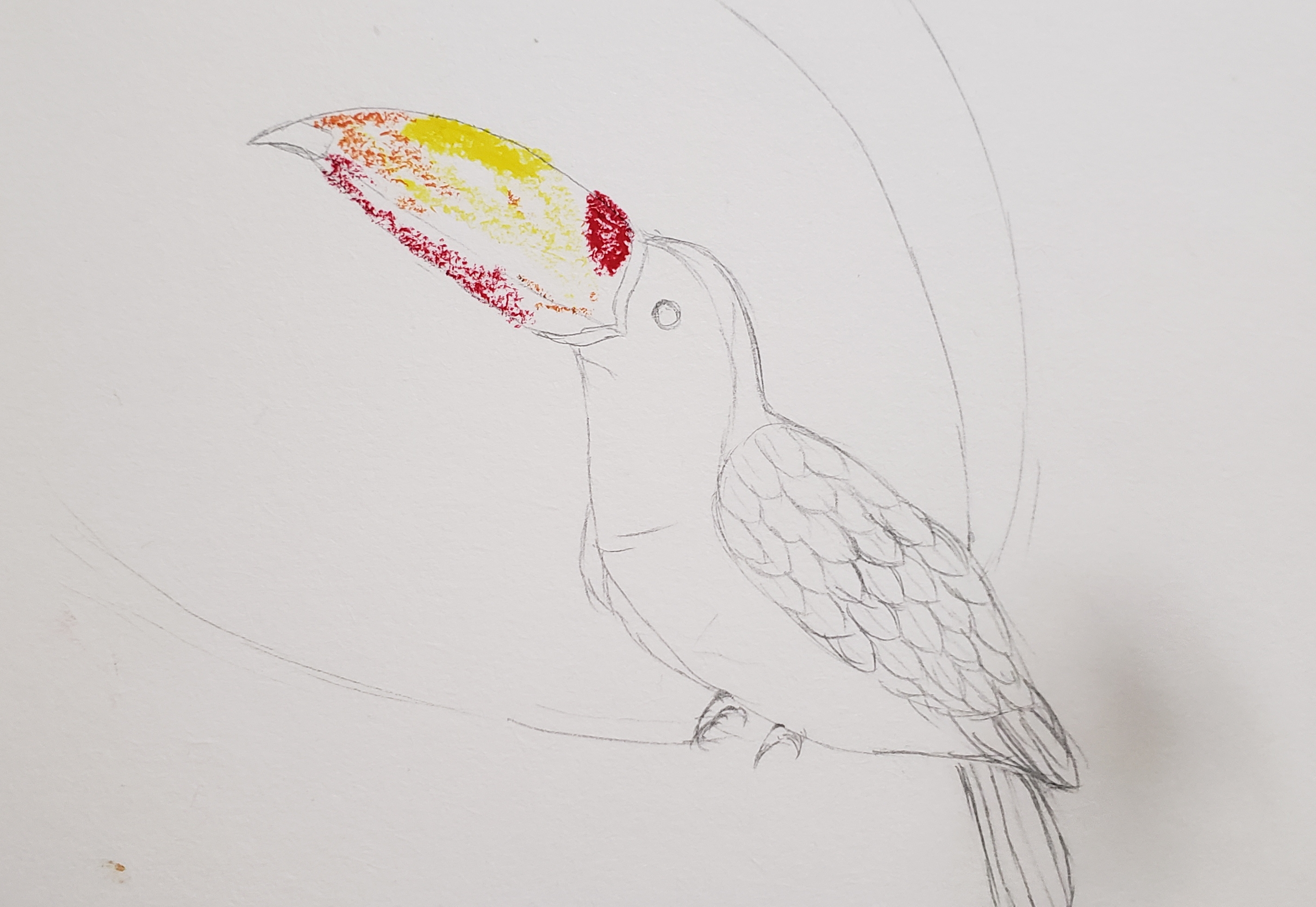 a5油画棒圣诞教程,r1se油画棒教学