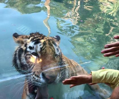 深圳生日一个人去哪里玩,深圳过生日人多应该去哪里