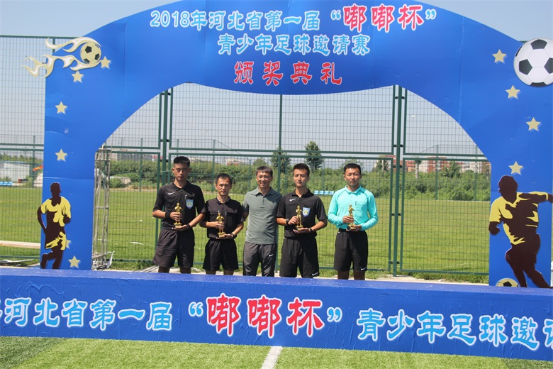 河北省嘟嘟杯,嘟嘟杯决赛