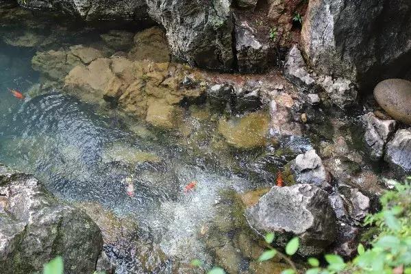 黑龙潭的记忆碎片，愿你越来越好