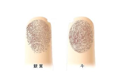 手指上的斗和簸箕决定人的寿命？研究告诉你：它的真正作用