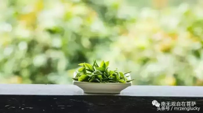 陈大惠：纵欲的真相，你无法想象！