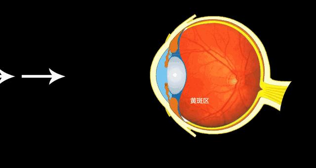 natureway儿童补钙,natureswaydha可以长期使用