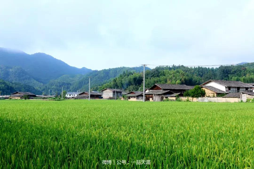 宋端宗、文天祥和红军都钟爱的明溪古村，我们有什么理由拒绝？