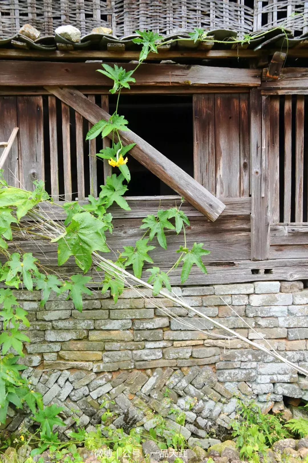 宋端宗、文天祥和红军都钟爱的明溪古村，我们有什么理由拒绝？