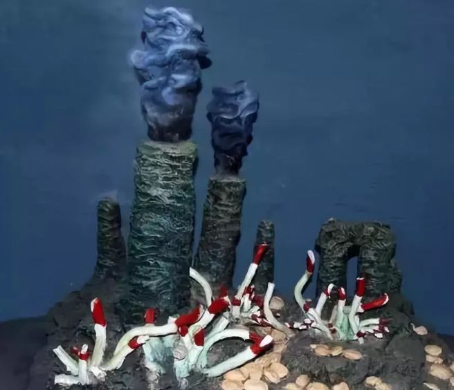 「免费科普招募」《侏罗纪》《疯狂原始人》告诉你的都是假的？专业老师带你体验别样的科普之旅！