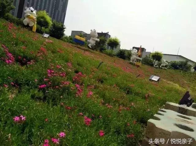 北冰洋69.9块钱24瓶,69元北冰洋汽水