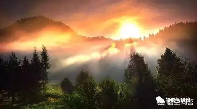 初学者单反相机入门教程,如何学习单反数码相机的简单操作