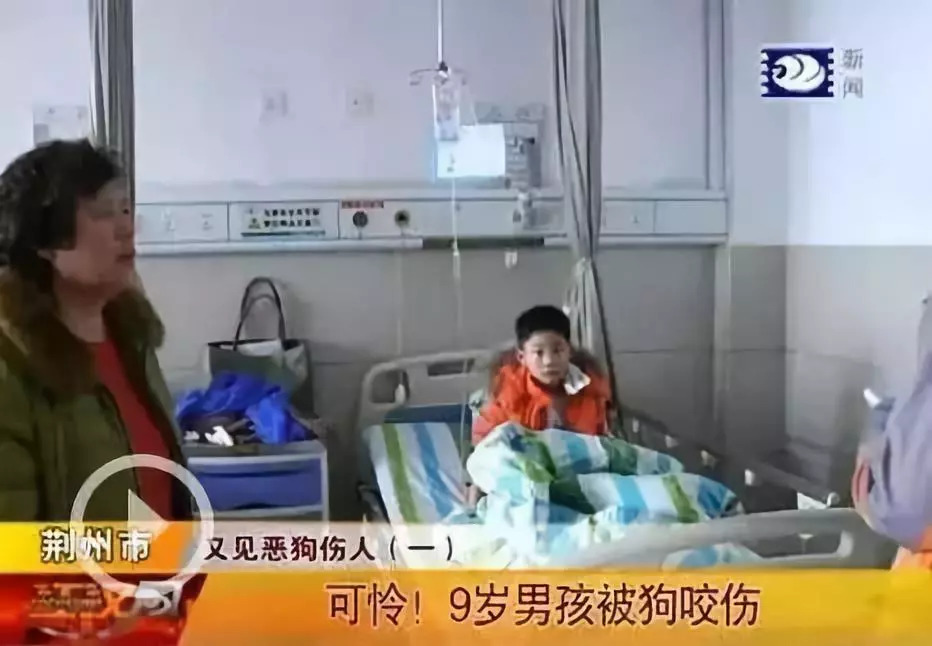 被狗咬住不放怎么办,被狗咬着不松口怎么快速脱离