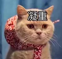 真正有效果的护肤成分,真正有用的护肤成分