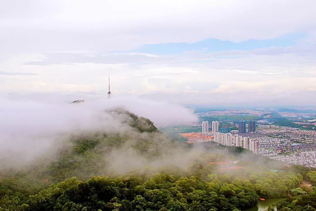 鹤山离广州最近的地方是哪里,鹤山周边游玩的地方推荐