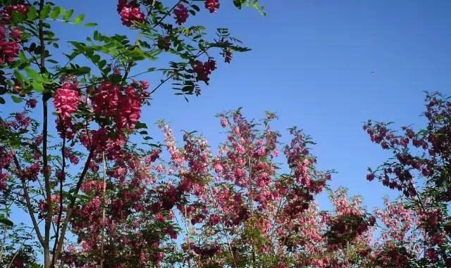 张掖是现在的什么城市,张掖一座被严重低估的城市