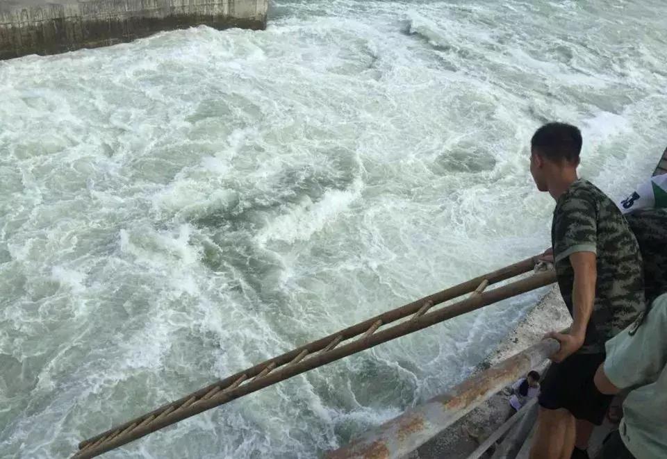 江油涪江二桥下4人1狗被困河中，怎么回事？