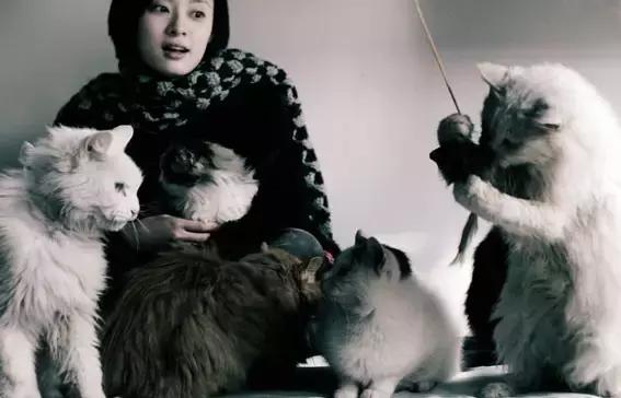 上干货！这些漂亮的女孩为何不馋肉？11位素食主义女星大起底