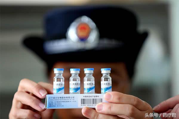 宝宝被狗抓伤要打狂犬疫苗吗,宝宝被家养狗抓破皮需要打疫苗吗