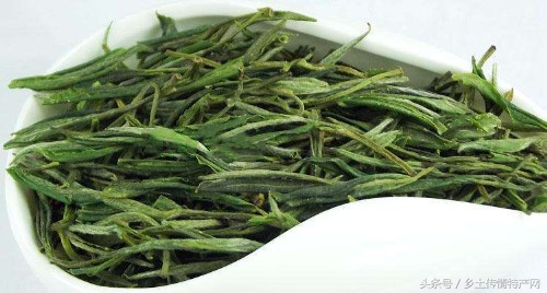 正宗黄山毛峰简介,黄山哪里可以买到正宗的毛峰