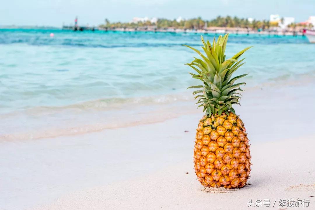 发现了长得像图卢姆的准网红小镇，人均500住进加勒比海景别墅