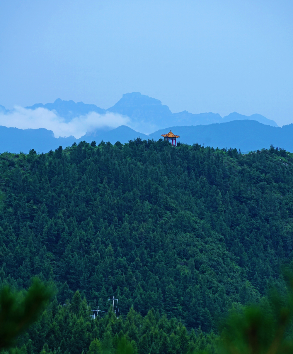大森林里的小木屋秋雨后美成让人窒息云海小木屋离北京120公里