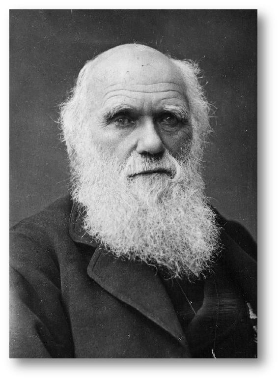 达尔文和华莱士的进化论,达尔文和华莱士的故事简介