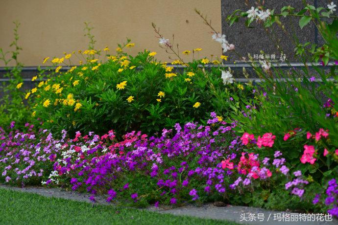 开满鲜花的小路教学设计一等奖,园丁培植万朵花