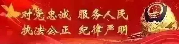 省运会青少年足球甲组,第十五届省运会男子乙组足球比赛