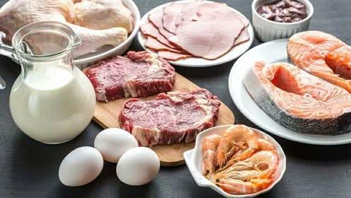 养猫篇-如何把猫养胖养肥养得白白胖胖!