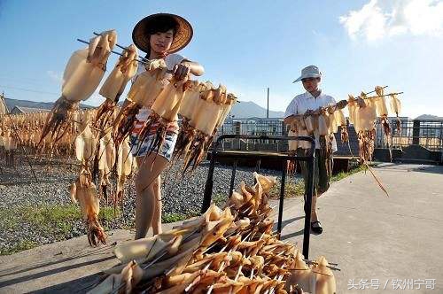 北部湾鱿鱼干和越南鱿鱼干区别,北海鱿鱼干大的还是小的好吃