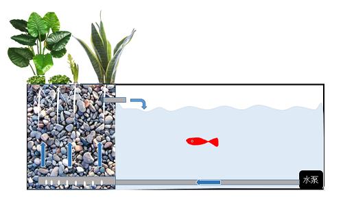 「龟龟环境篇」沼泽过滤(bogfilter):一种原生态水处理技术
