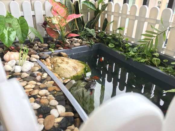 「龟龟环境篇」沼泽过滤(bogfilter):一种原生态水处理技术