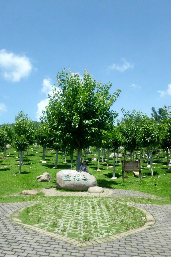 三亚旅游攻略自由行本地推荐,三亚旅游吃玩攻略自由行