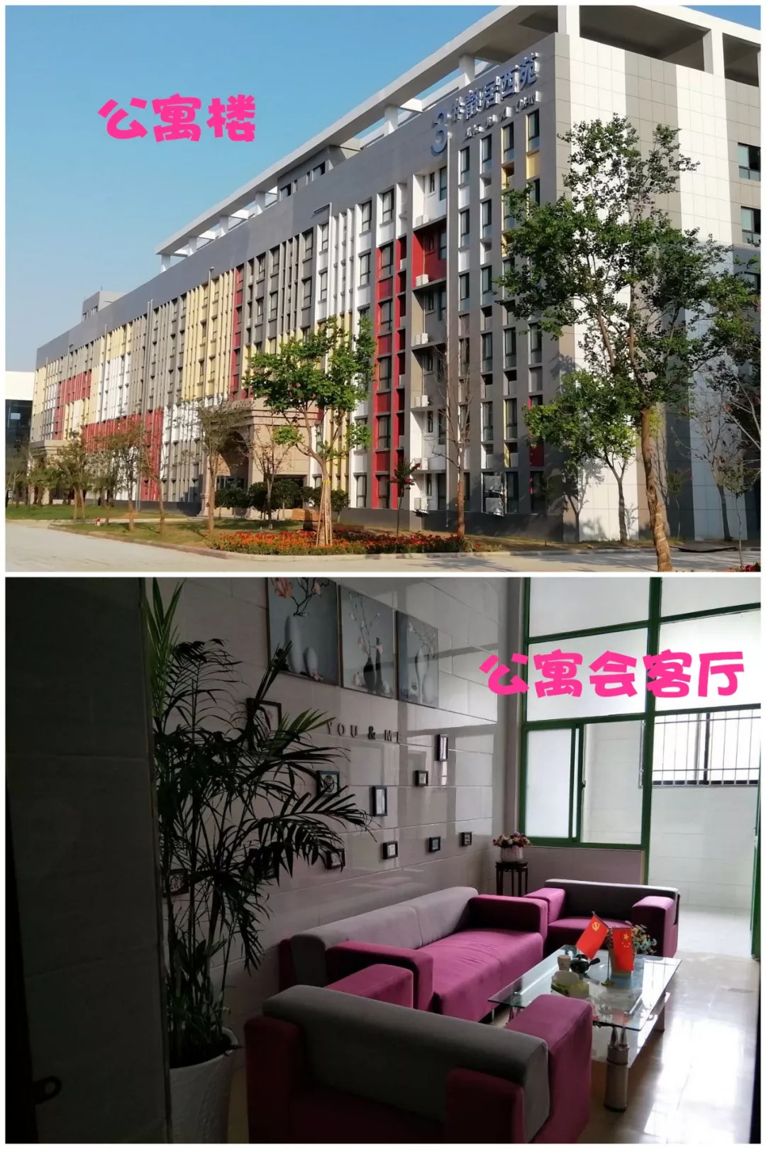 河南大学寝室曝光,河南高校宿舍有哪些