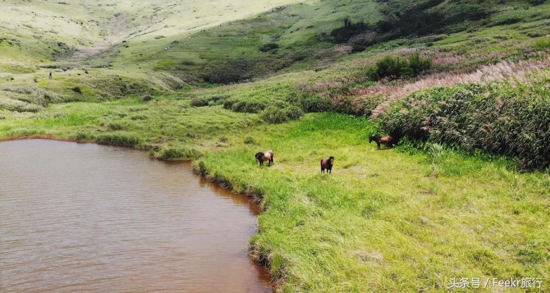 嵛山岛万亩草场,嵛山岛中国十大最美岛屿之一