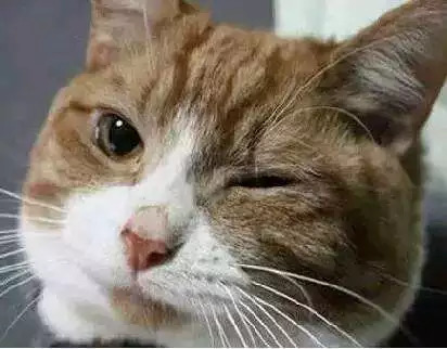 河南医院排行榜最新排名,河南医院排行综合实力前十