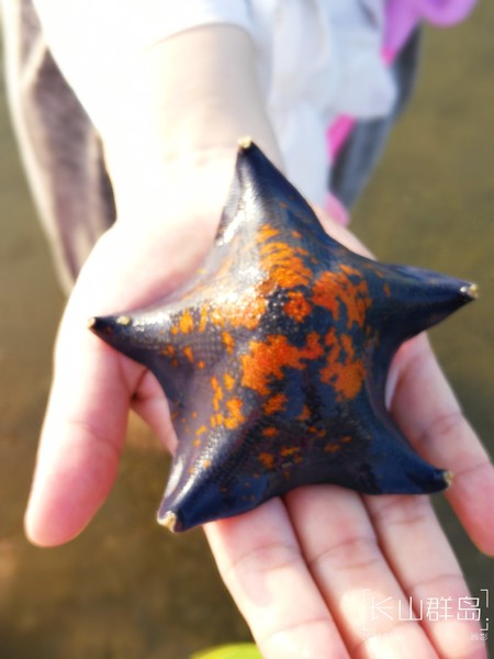 顾影的流水账1：合肥~大连~海拉尔