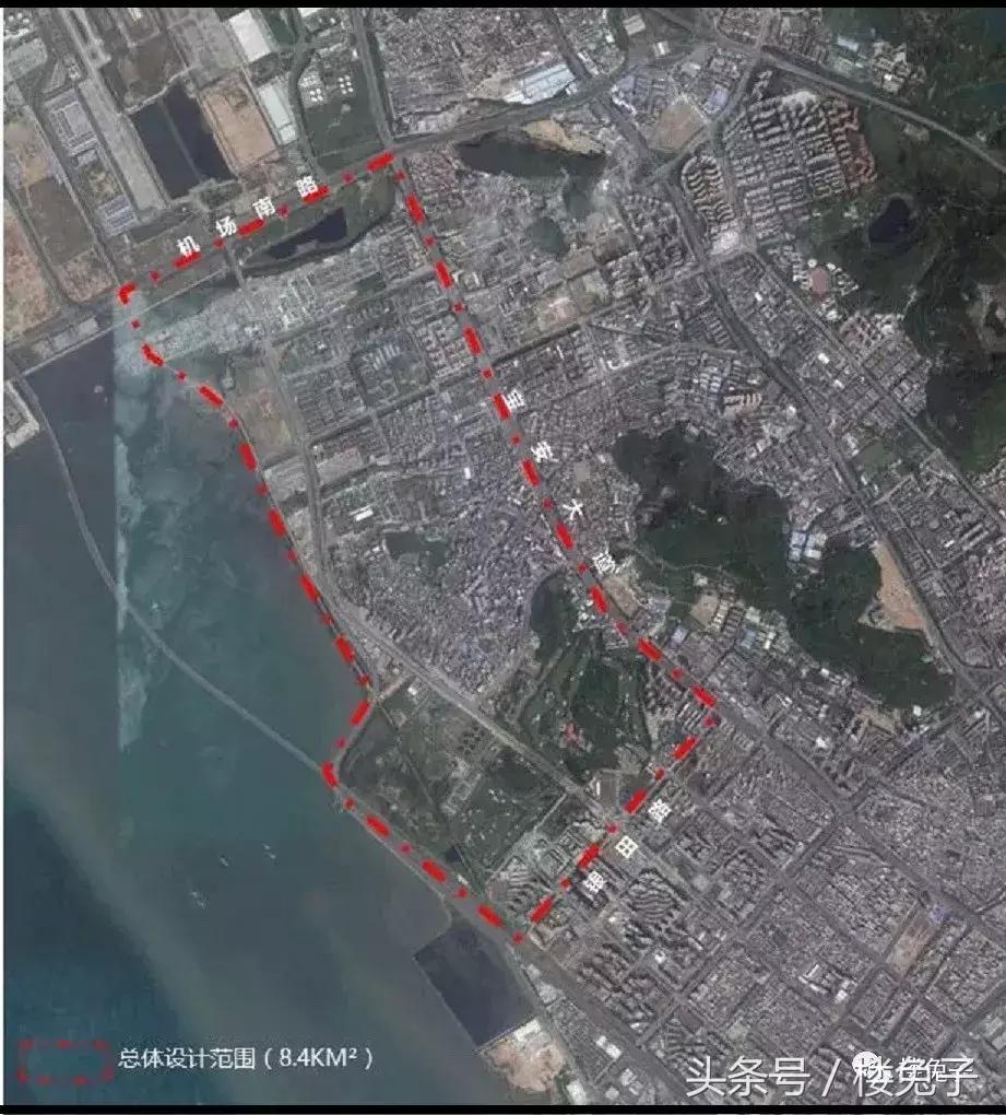 爆料！宝安区要在西乡搞大动作！