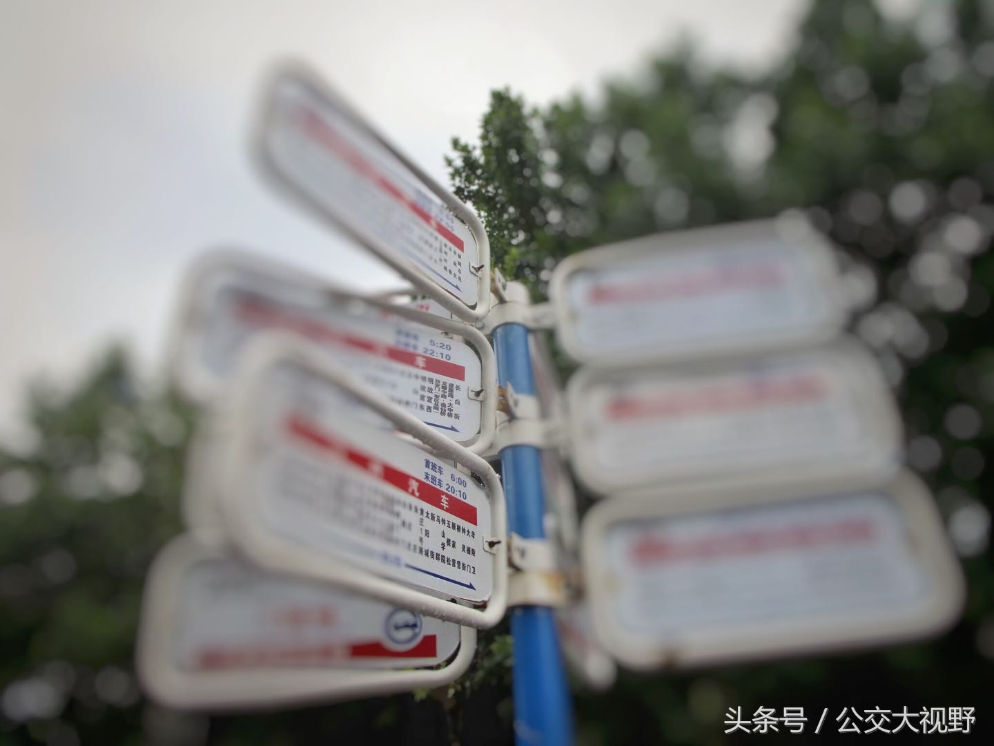 南京栖霞仙林湖摄山星城,南京栖霞区摄山星城