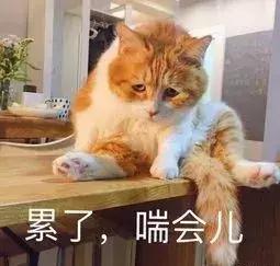 kate有哪些值得买,kate粉底液黑管新品