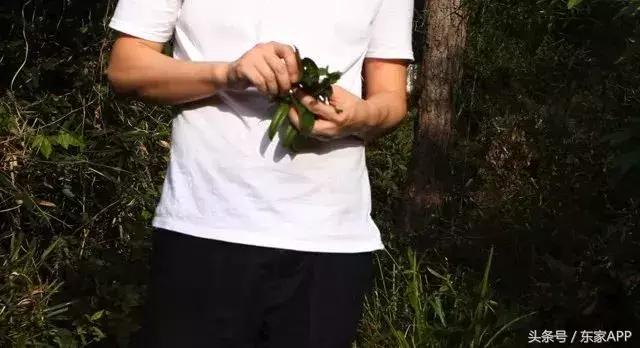 闄堝墤娉㈤┈鐏厭,闄堝墤娉㈤厭