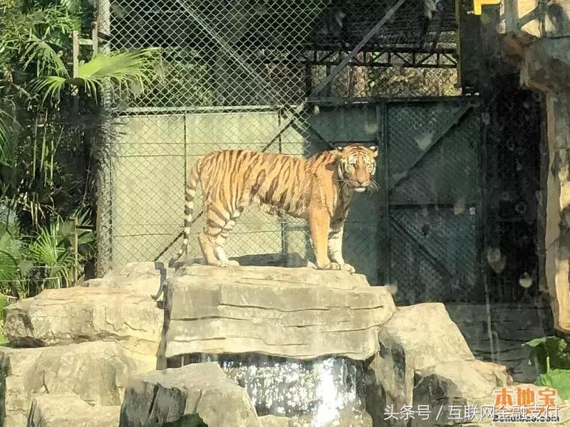 生日优惠攻略可省下一大笔钱,生日优惠券攻略